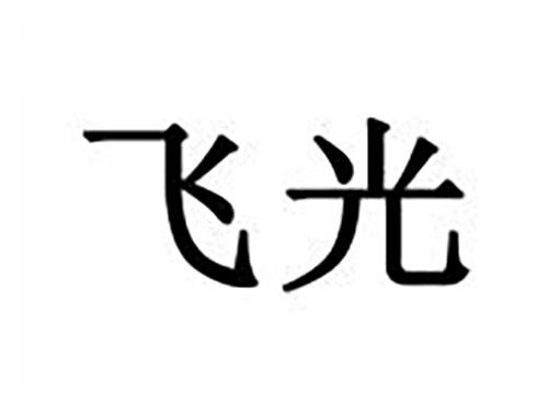 飞光