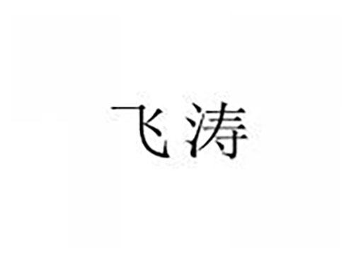 飞涛