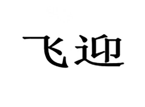 飞迎