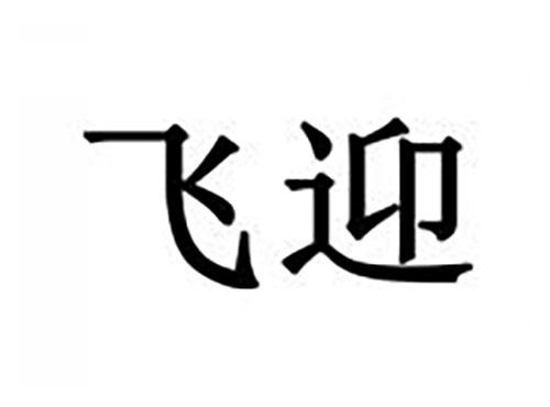 飞迎