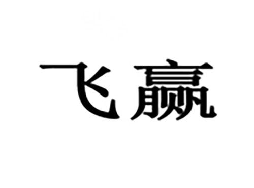 飞赢