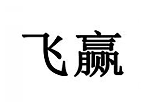 飞赢