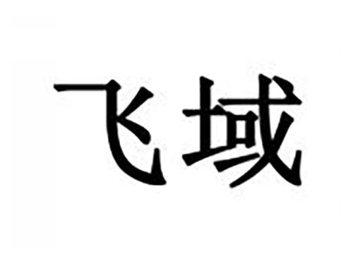 飞域