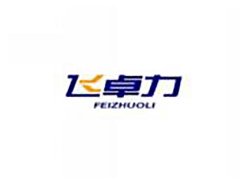 飞卓力feizhuoli