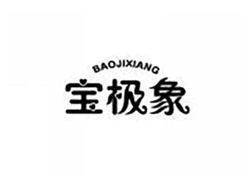 宝极象
