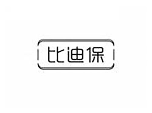 比迪保