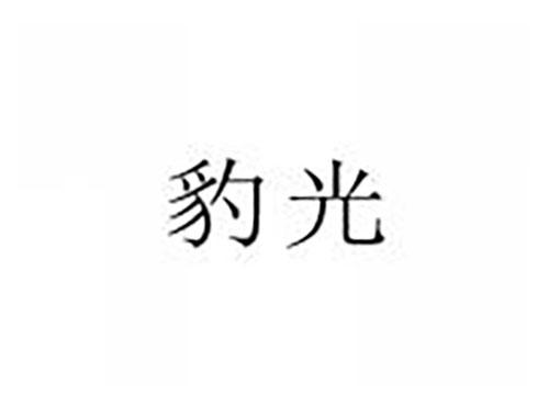 豹光