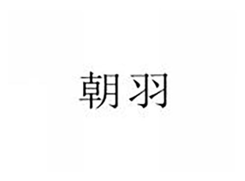 朝羽