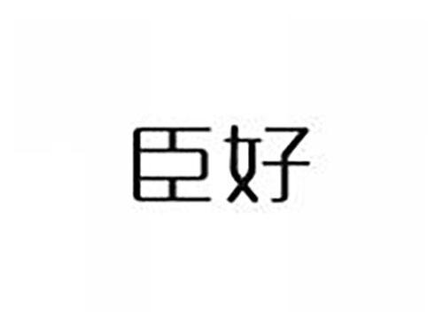 臣好