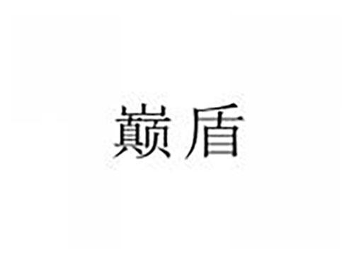 巅盾