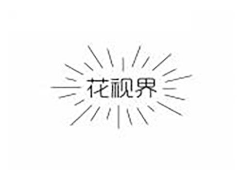 花视界
