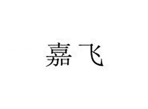 嘉飞