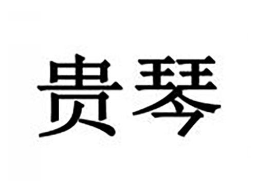 贵琴