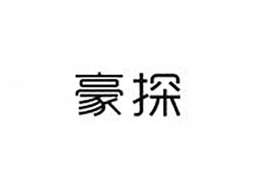 豪探