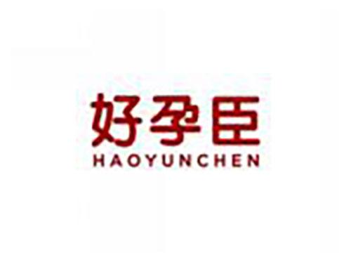好孕臣HAOYUNCHEN
