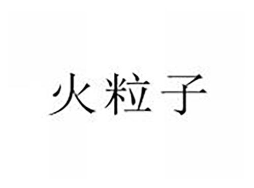 火粒子
