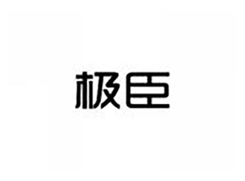 极臣