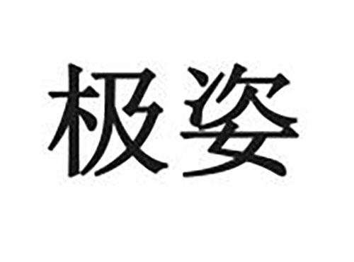 极姿