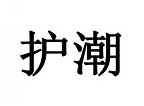 护潮