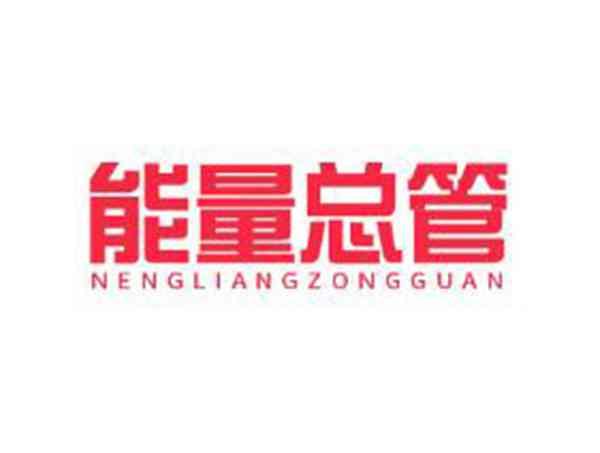 能量总管