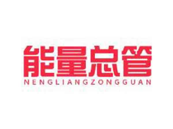 能量总管