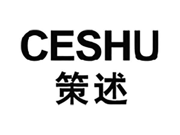 策述