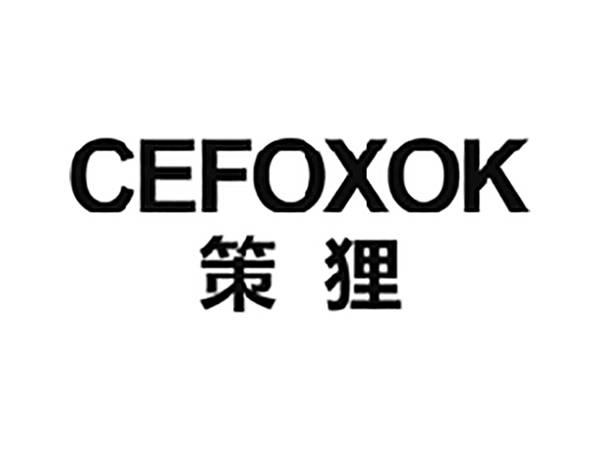 策狸