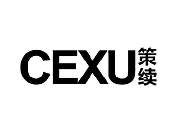策续