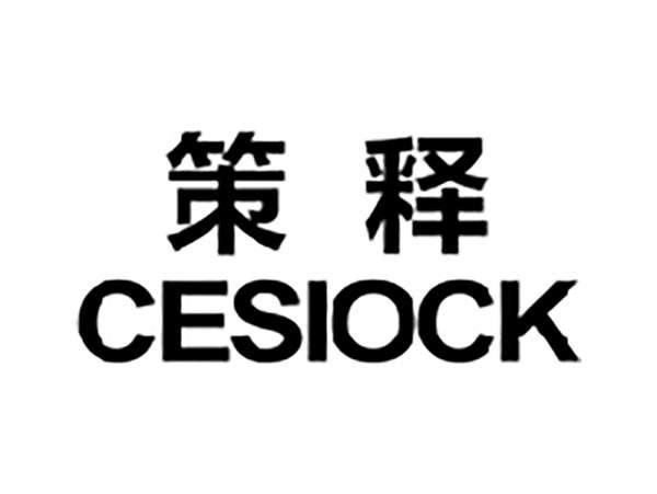 策释