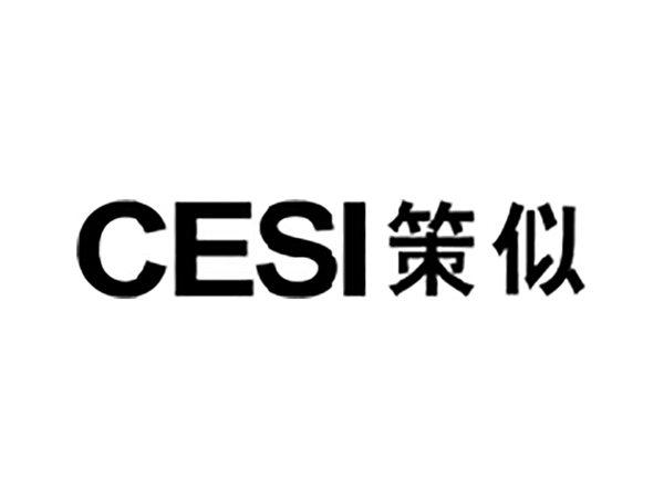 策似