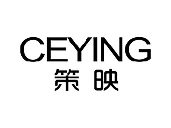 策映