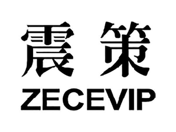 震策