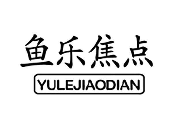 鱼乐焦点