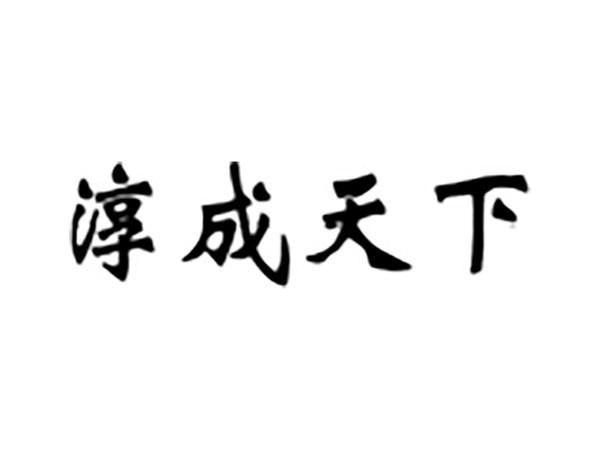 淳成天下