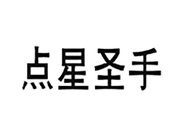 点星圣手