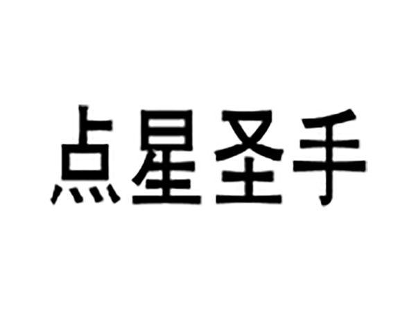 点星圣手