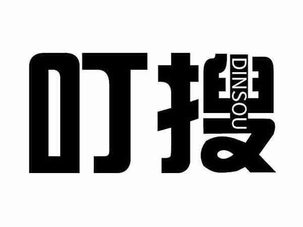 叮搜DINGSOU