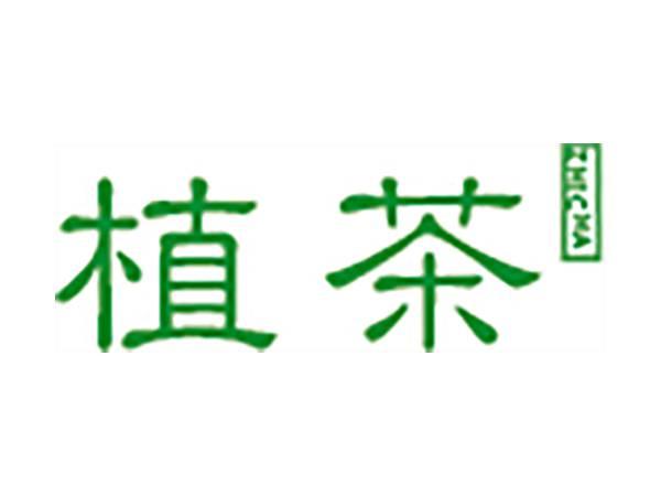 植茶
