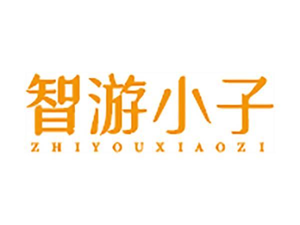 智游小子