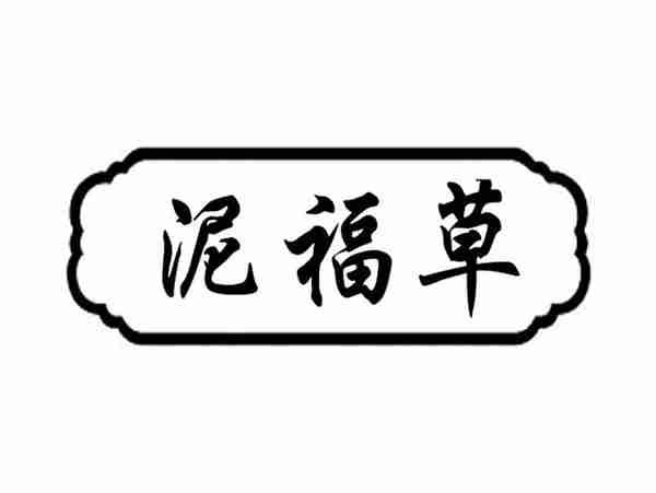 泥福草