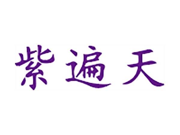 紫遍天