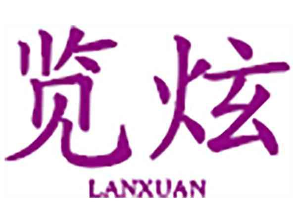 览炫