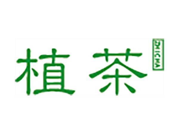 植茶