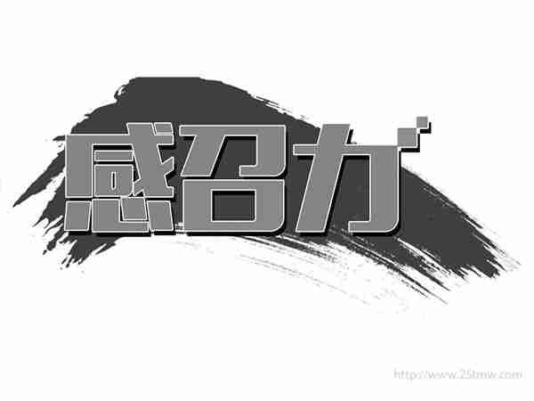 感召力