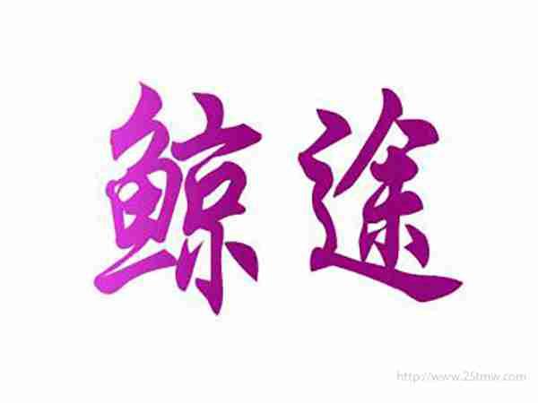 鲸途