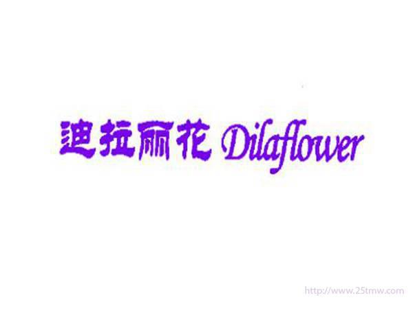 迪拉丽花DILAFLOWER