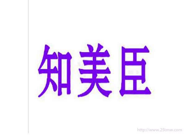 知美臣