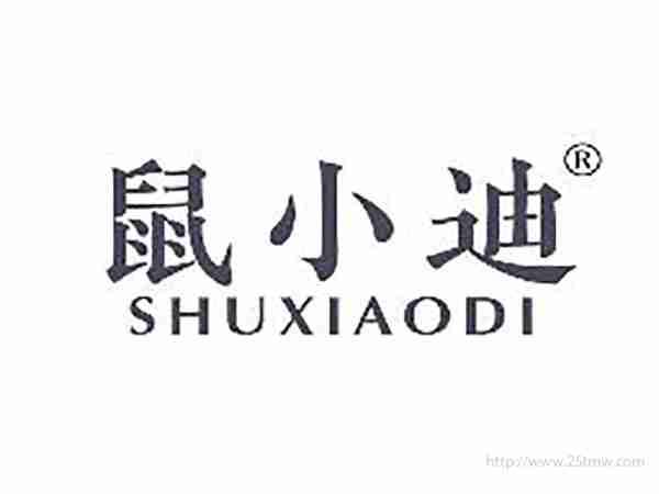 鼠小迪
