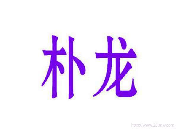朴龙