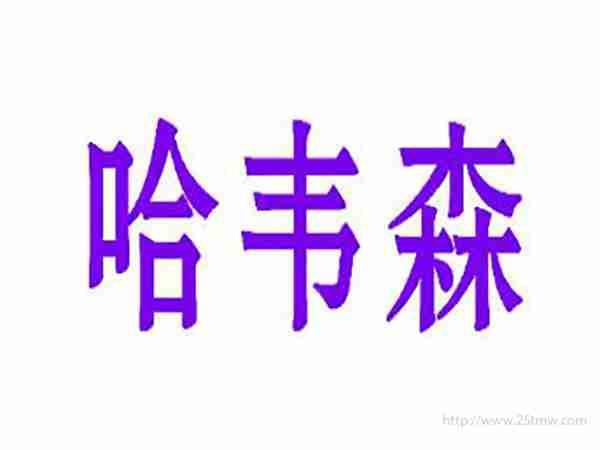 哈韦森